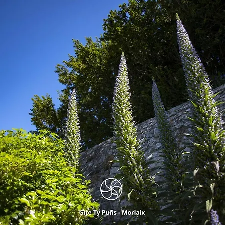 Ty Puns - Ecoresponsable Dans Un Espace Verdoyant En Centre-ville Morlaix